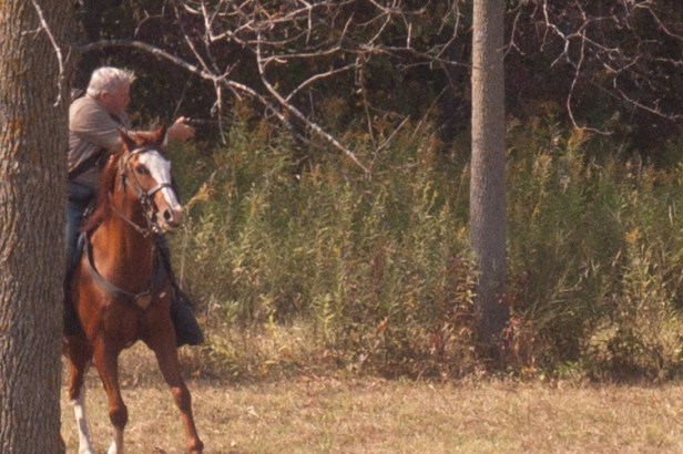 %d0%b1%d0%b8%d1%82%d0%b2%d0%b02