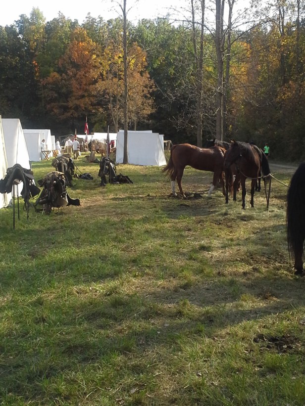 Лагерь конфедератов, лошади на привязи и разобранная упряжь